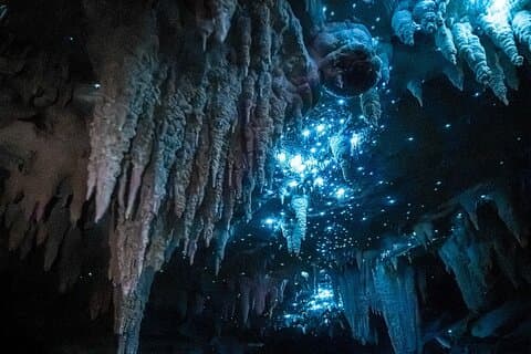 Milky Way Glowworm Cave Tour