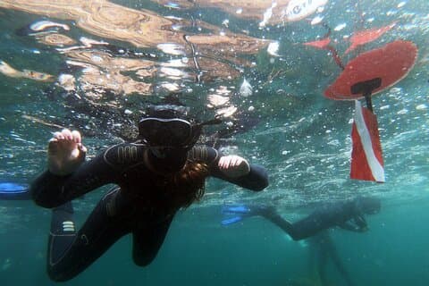 Excursión sencilla de snorkel en Sesimbra
