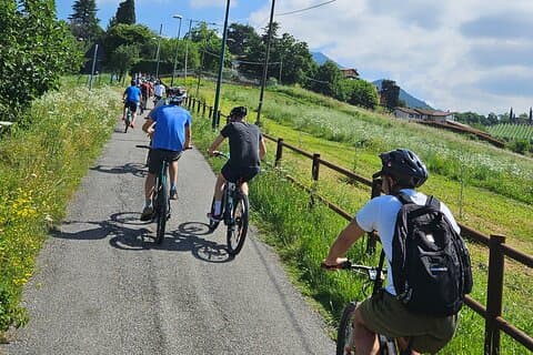 Moscato di Scanzo e-bike tour