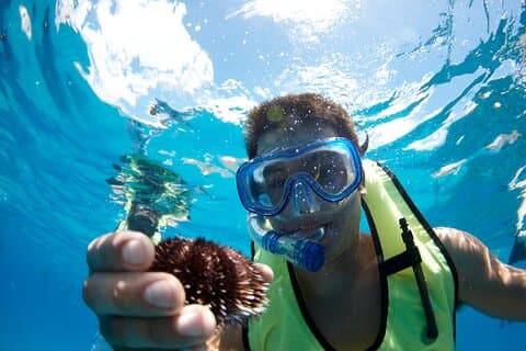 Mauna Kea 3hr Two Stop Sealife Snorkel Adventure