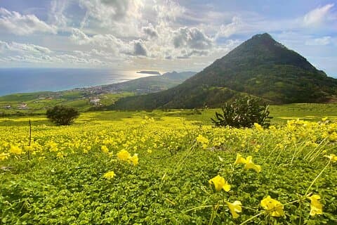 Porto Santo - Explore Pico Castelo and Pico do Facho hiking tour