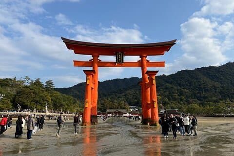 Privat guidet tur til Miyajima fra Osaka eller Kyoto