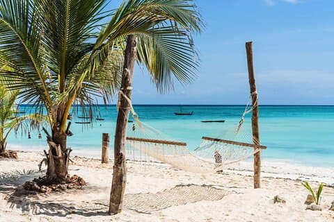 Safari in Tanzania di 10 giorni e Zanzibar Beach Holiday Combo