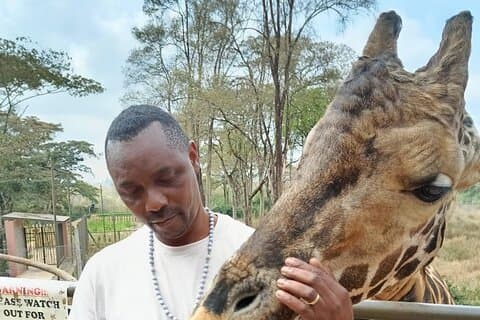 Nairobi Giraffe Centre et Musée national Visite guidée Aventure