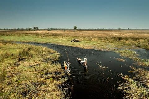 Camping Safari mit Mokoro Rides und Pirschfahrten