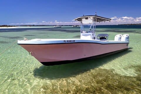 Tour dei delfini di 3 ore e snorkeling a Shell Island