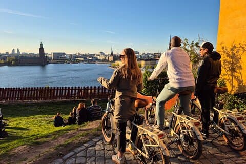 Tour della città in e-bike di Stoccolma