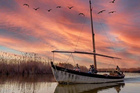 Parque Natural de la Albufera con tour en barco desde Valencia