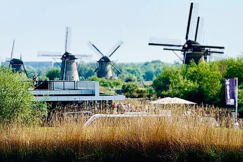 Privé tours naar Kinderdijk, Delft, Den Haag vanuit Amsterdam 8u