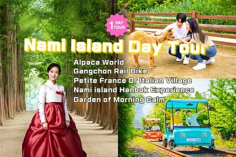 南怡島&韓服体験 / 草泥馬公園 / レールバイク / プチフランス村 / モーニングカーム樹木園ツアー