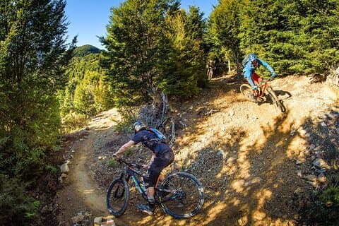 Wairoa Gorge MTB Park Private Shuttle Day
