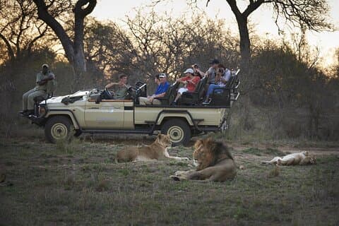 7-dages luksus Kapama Kruger og Victoria Falls Safari