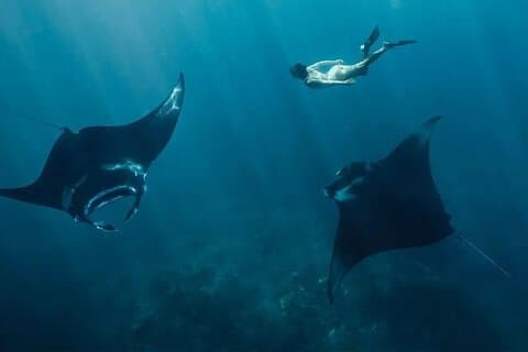 Start at Nusa Penida, Snorkeling Manta Rays & Land Tour