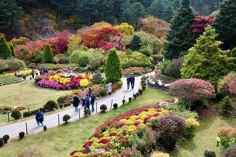 Nami Island , Sci elisiano e Mattina Calma Garden Experience