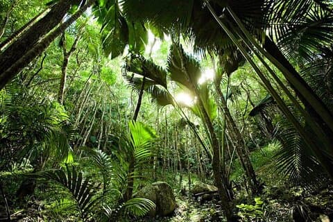 Discover Praslin Island Tour - 04 hours