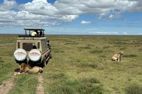 6 dager Tanzania familie safari