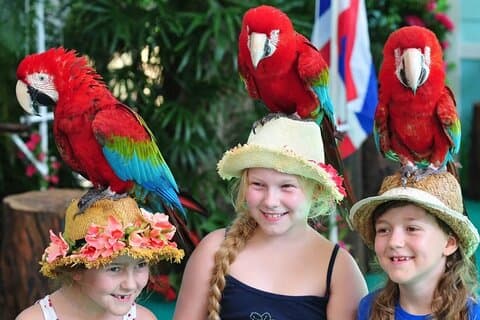 Billett til Phuket Bird Park