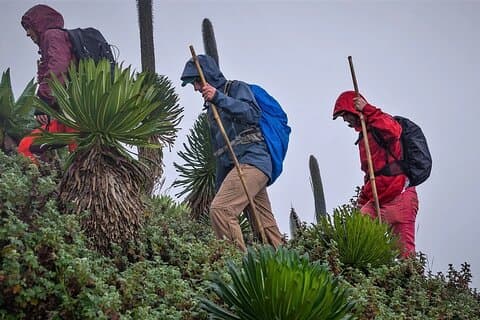 Avventura escursionistica di 1 giorno sul Monte Muhabura