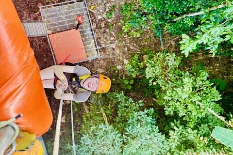 Chiang Mai 3 in 1 Zipline, Elefanten und klebriger Wasserfall