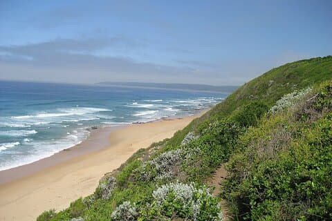 Visite de 7 jours de la Route des jardins terrestres du Cap à Durban