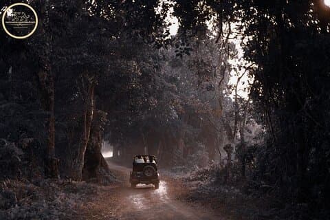 Tiger Safari in Ranthambore national park | Canter Options