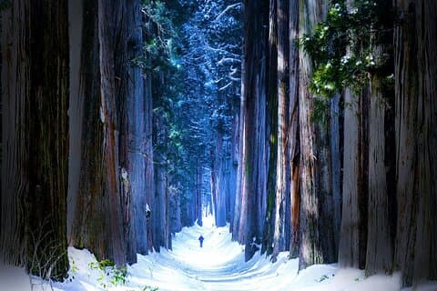 Privé Winter Togakushi Tour met Sneeuwspel