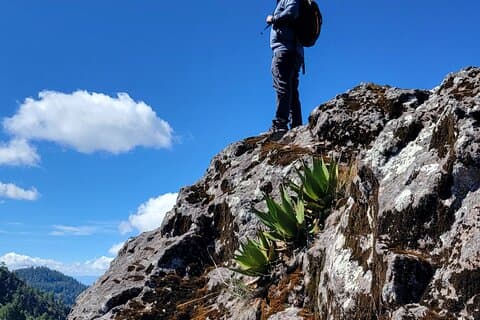 Cuajimoloyas Excursão Privada Bushwalking Oaxaca Adventure