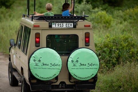 3-daagse groepsreis naar Serengeti en Ngorongoro Safari vanuit Arusha