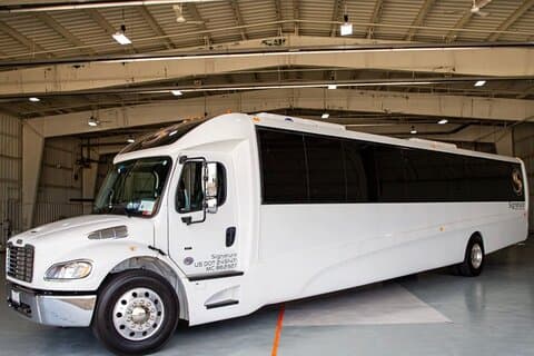 Tour della città di Chicago in minibus di lusso