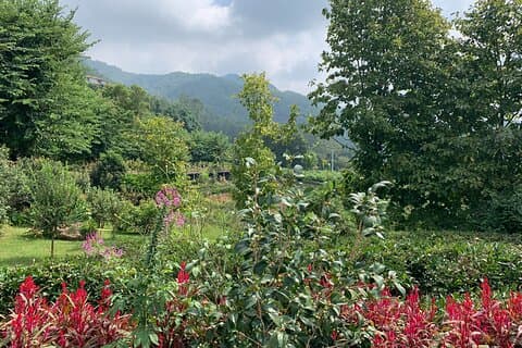 Private Day Tour to Meizhou from Guangzhou by Bullet Train
