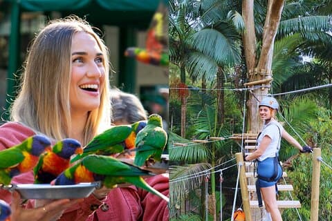 Currumbin Wildlife Sanctuary + High Ropes & Zipline Adventure