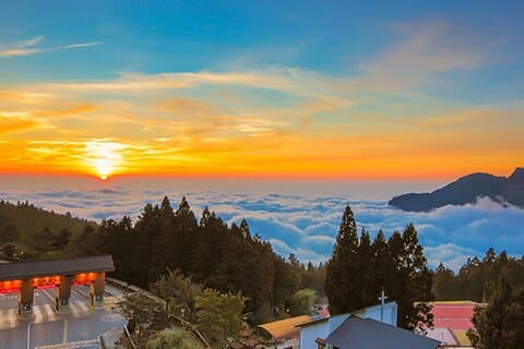 Esplora Alishan di Taiwan: Foresta, Alba e cultura locale