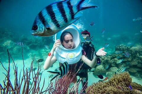 Nha Trang Bay Unterwasserwanderung und vietnamesische Meeresfrüchte