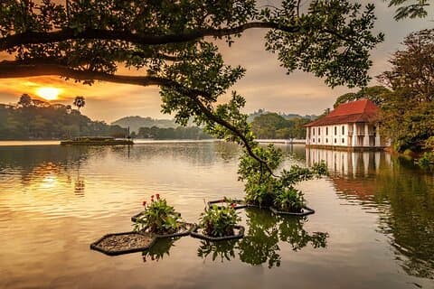 Kandy Private Day Tour from Colombo/Negombo