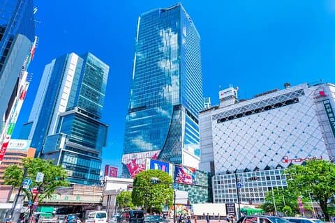 Perfect for First-Time Visitors Private Tokyo Highlights Tour