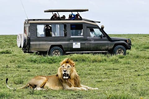 Fra Arusha: 3-dages Tarangire, Ngorongoro og Manyara Safari