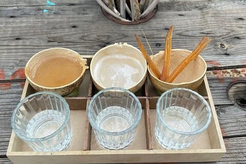 Agave Proeverij Reis van Pulque naar Mezcal