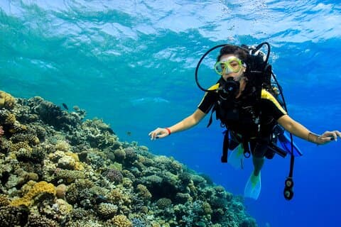 PADI Open Water Diving Kurs Mit Transfer : Marsa Alam
