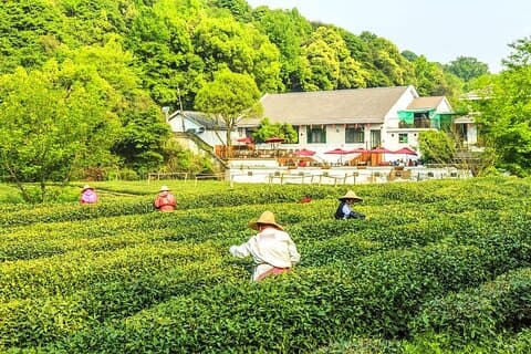 1 dag Hangzhou privat tur - äventyr crafted på ditt sätt