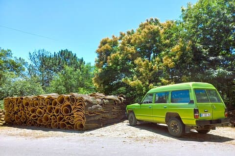 Safari en jeep de montaña de medio día con degustación de agua de fuego