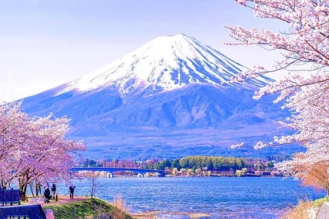 Excursion d'une journée au Mont Fuji : Kawaguchi Lake Ropeway, Matcha, Oshino Hakkai