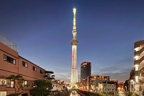 Private Tokyo Night Tour by Private Bus