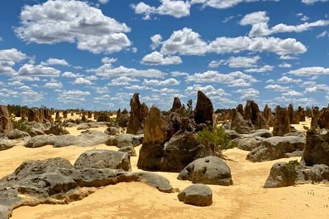 Pinnacles Day Tour