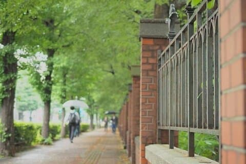 日本最古の大学をウォーキングツアーで巡る