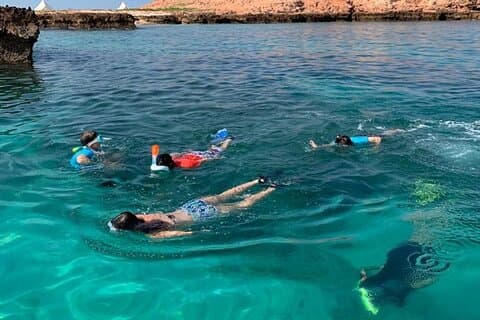 Voyage privé de plongée en apnée aux îles Daymaniyat jusqu'à 15 passagers