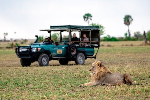Privat guidet helgedagstur på Pilanesberg Safari