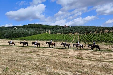 Reiten in den Weinbergen