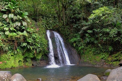 Local Market, Crayfish Waterfall and Rum Distillery with Tasting