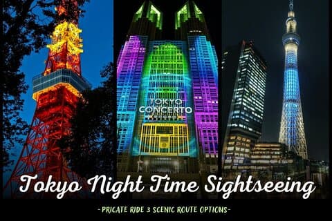 Tokyo City Lights Night Drive – 3-timmars privat biltur