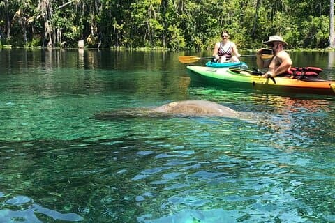 Manatee Springs Adventure Tour